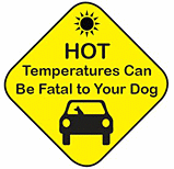 Hot temperatures can be fatal to your dog.